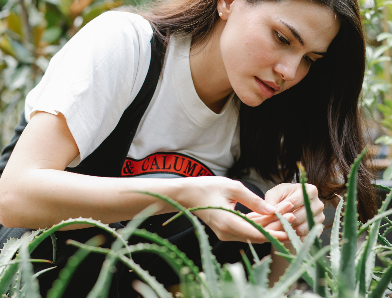 aloe vera sap - meisje tussen aloe vera planten