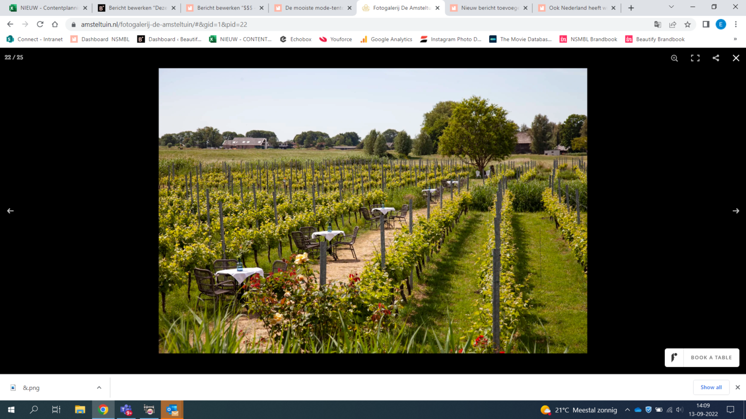 Wijngaard de Amsteltuin