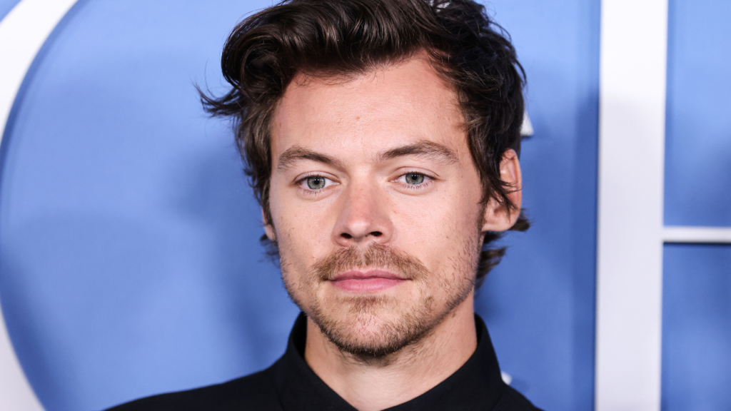 harry styles
