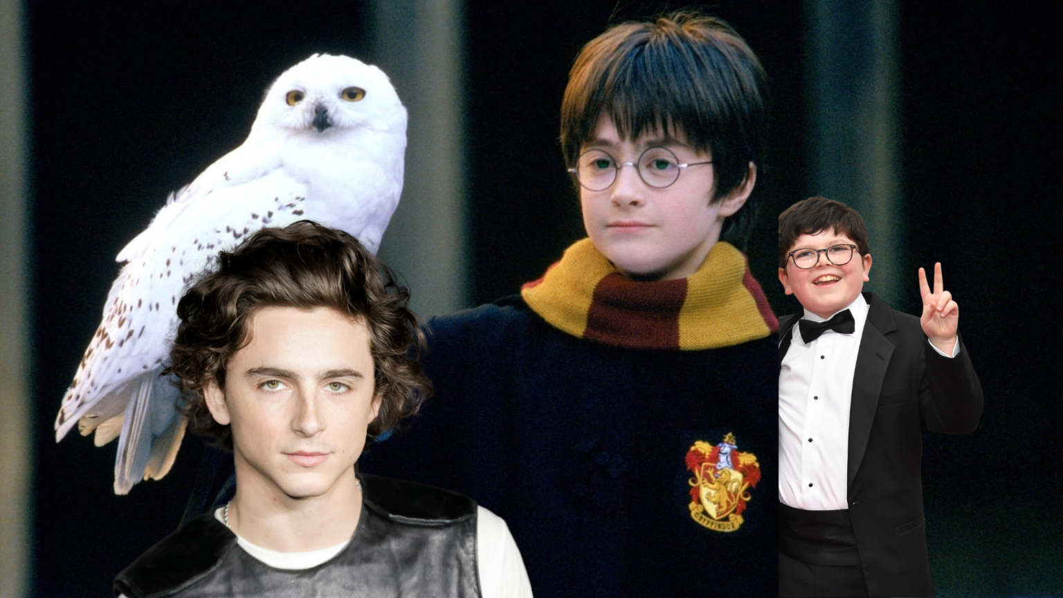 wie wordt nieuwe harry potter