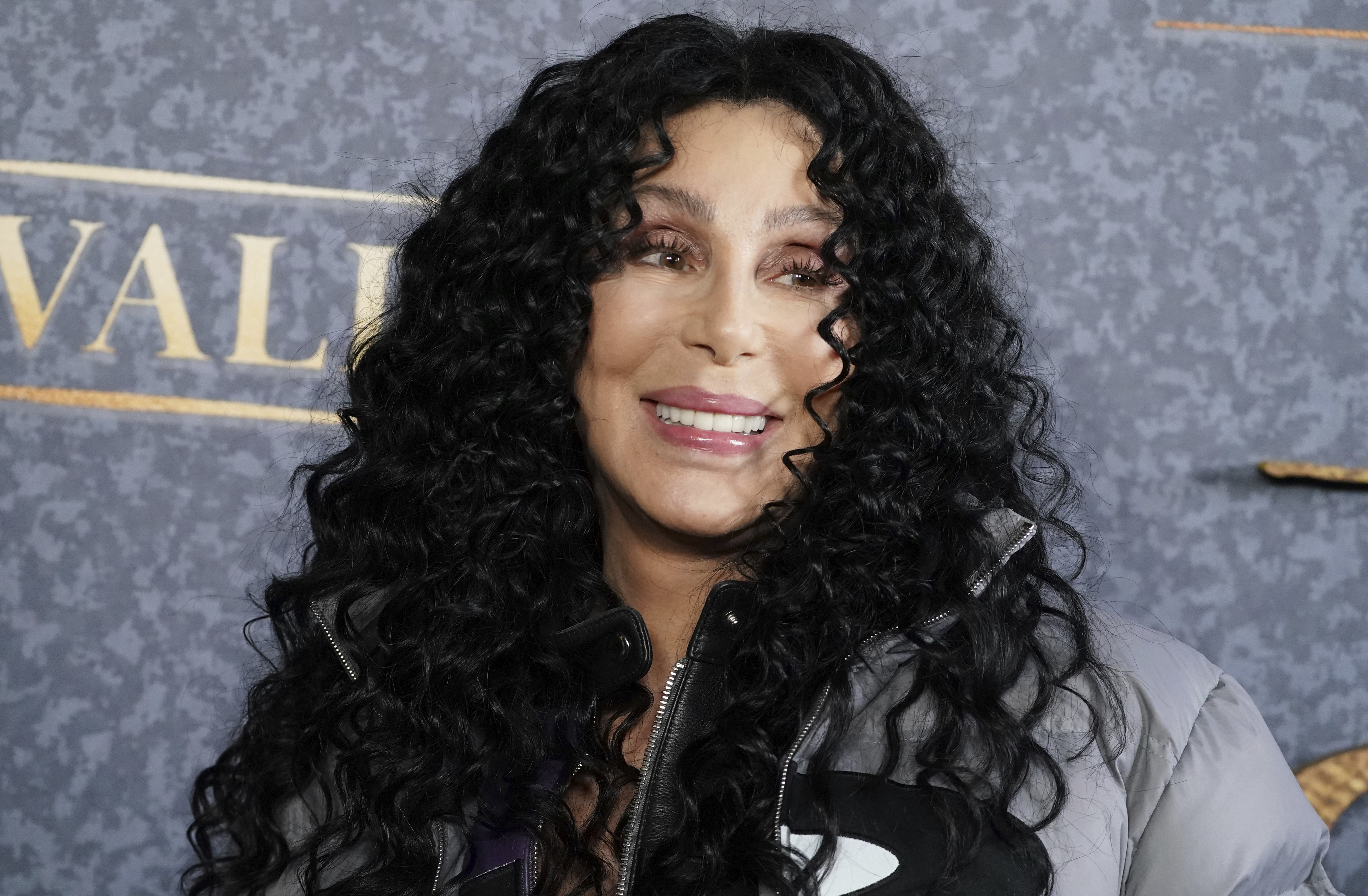 Hoeveel verdiende Cher met haar wereldhit Believe?