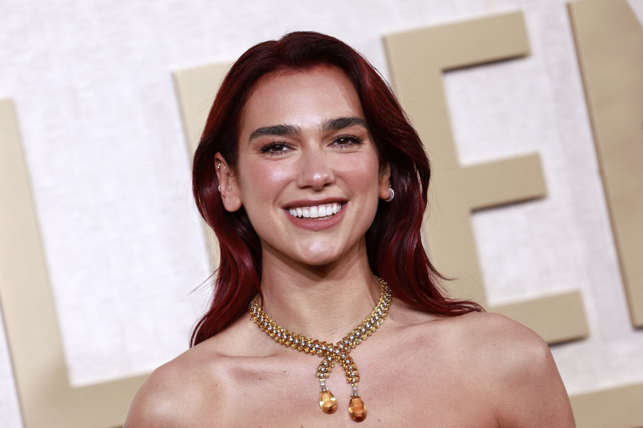 Dua Lipa daten callum turner