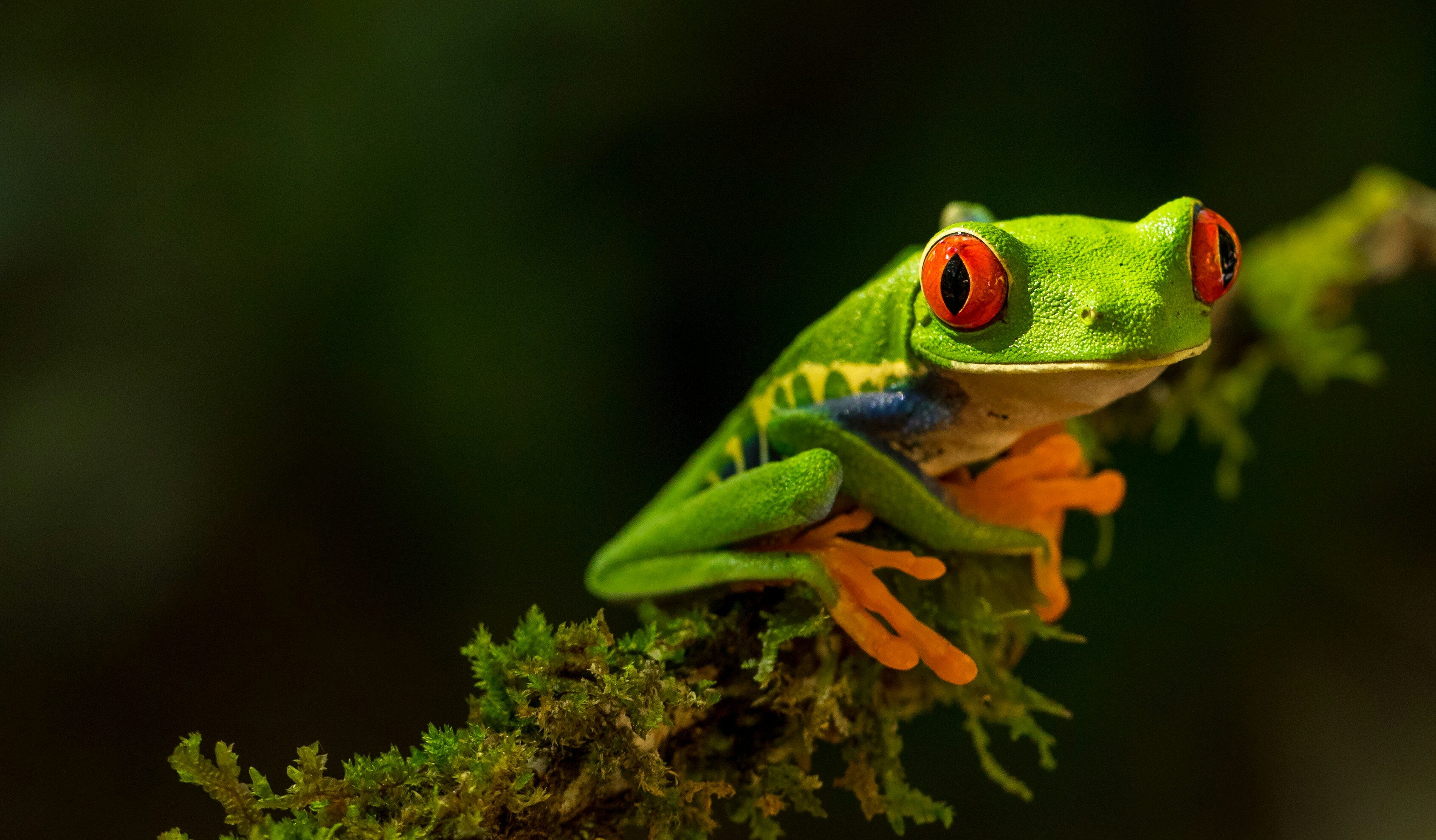 Daar zijn ze weer: dit zijn de leukste 1 april grappen van bedrijven
