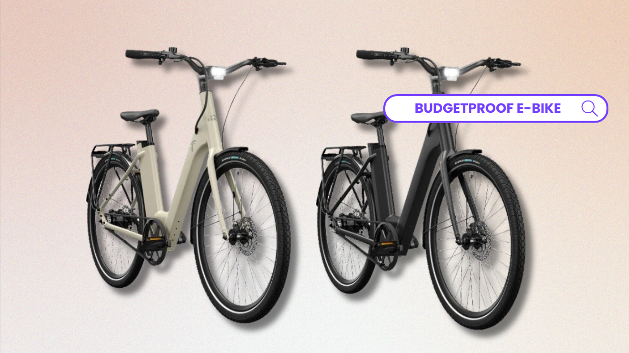 elektrische fiets lidl mooi budgetproof