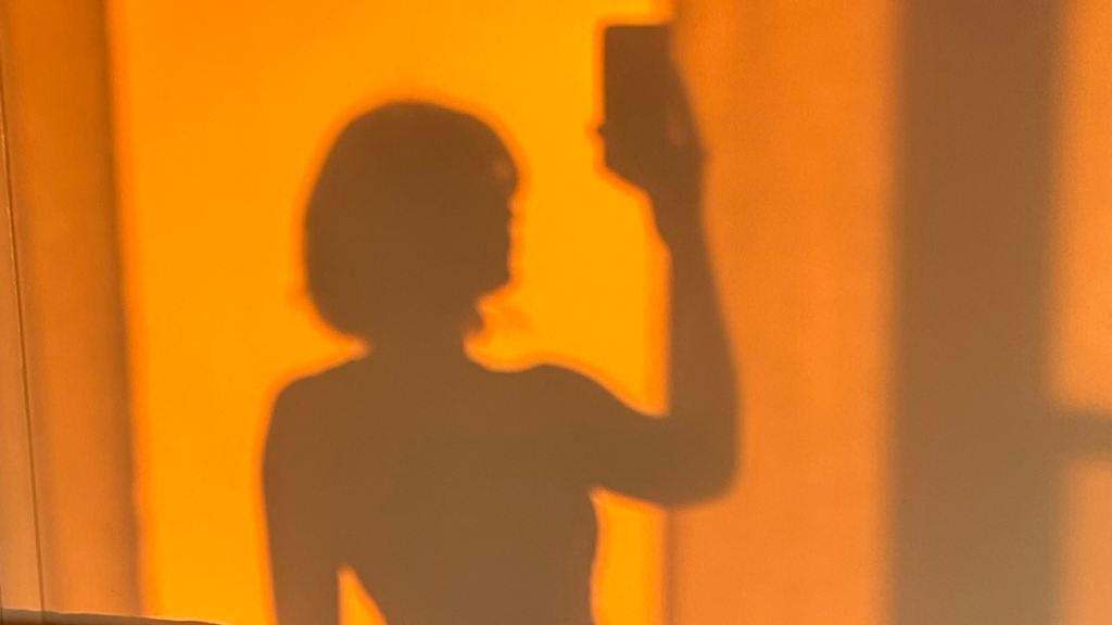 vriendinnen carnaval zonder mij