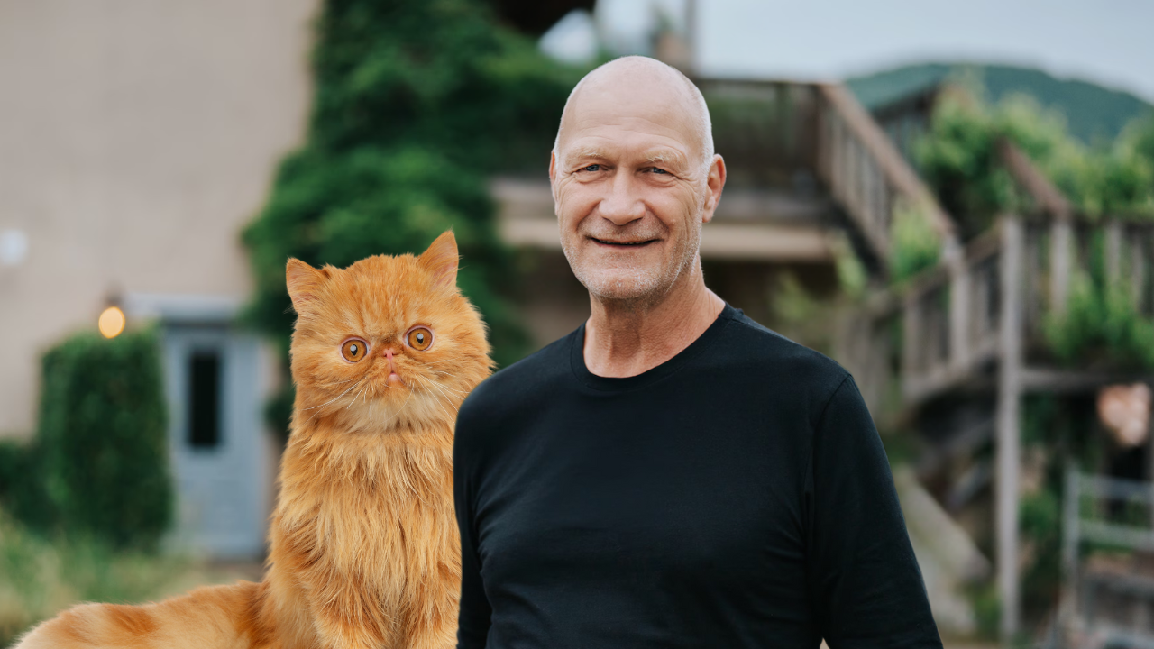 Rob kat B&B Vol Liefde